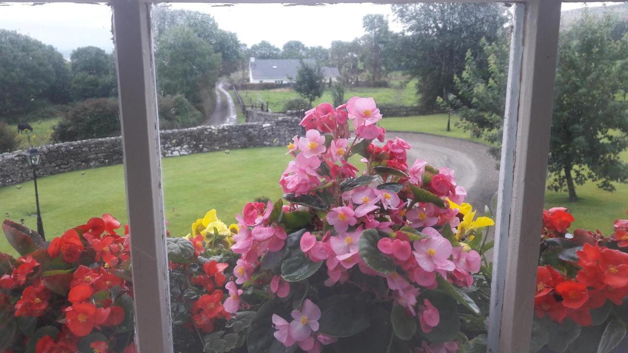 Bealkelly Country House Killaloe Exterior foto